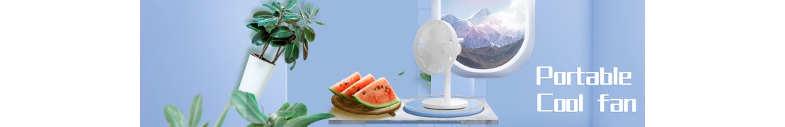 Cooling Fans